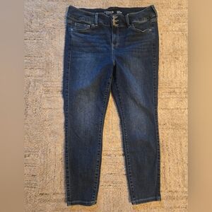 Torrid Indigo Skinny Jeans